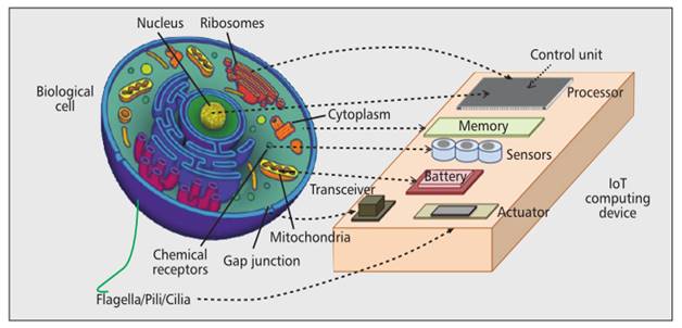Elements of a biological cell and IoT components