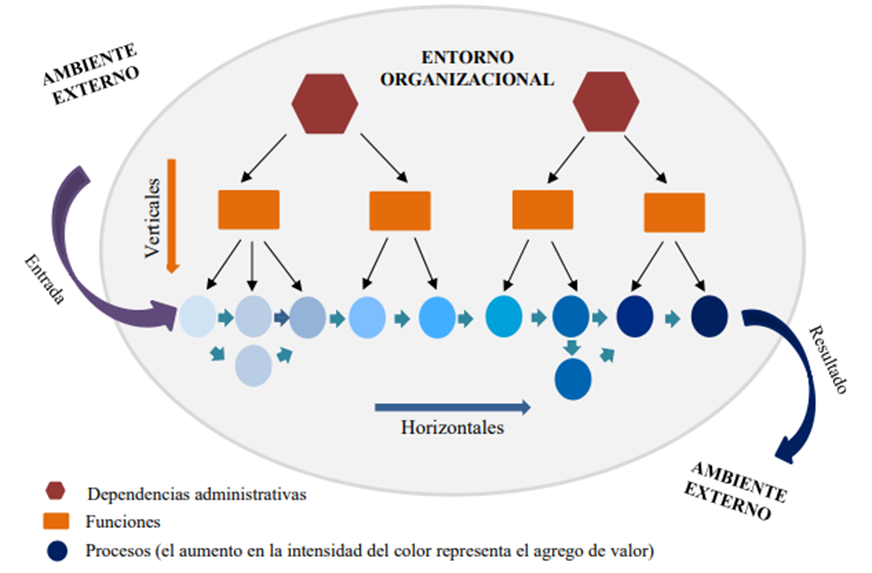 Diferencias entre la clasificaci�n por funciones y procesos en el entorno organizacional