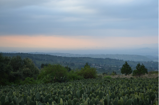 Vista panorámica de Milpa Alta, desde San Lorenzo Tlacoyucan, Ciudad de México, 2017