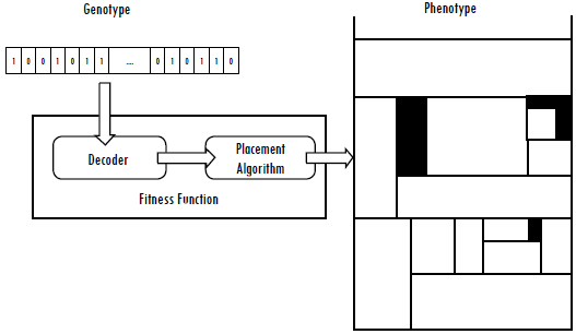 Genotype-phenotype scheme
