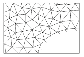 Type of mesh used
for the discs