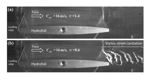 High-speed photographs for (a) high and (b) low cavitation indexes.