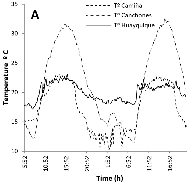 Environmental variables for 36 hours in
three locations in the Region of Tarapac&aacute; at the same period of experimental
measures.