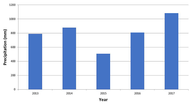 Figure 4. Precipitation annual average between 2013 and 2017