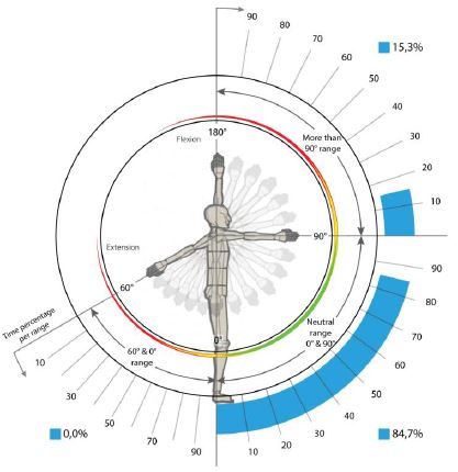 Corporal segments: c) shoulder flexion and extension