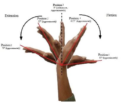 Angular positions of the wrist joint performed