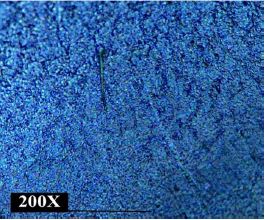 Optical microscopic image of CuCoMn coating (S1:CuCoMn) at 200X