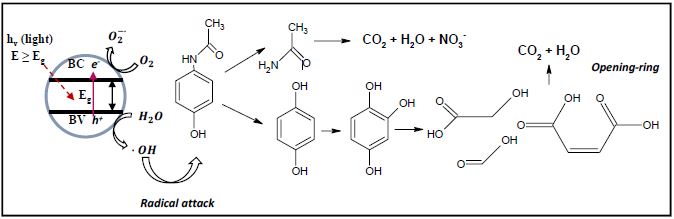 Proposed mechanism by adapting the reported pathways of the photocatalytic degradation of acetaminophen.