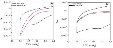 Cyclic voltammograms of (A) bare SPGE and SPGE-GGP in the absence (magenta line) and presence of H2O2 1 mM (black line); (B) bare SPGOE and SPGOE-GGP in the absence (red line) and presence of H2O2 1 mM (black line); scan rate 50 mV/s.