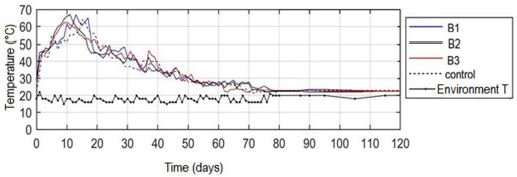 Temperature profiles of the treatments