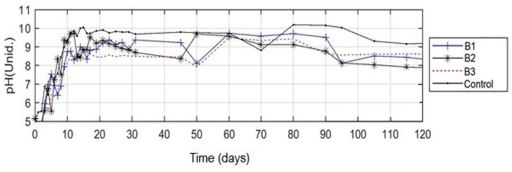  pH profiles of each treatment during the composting process