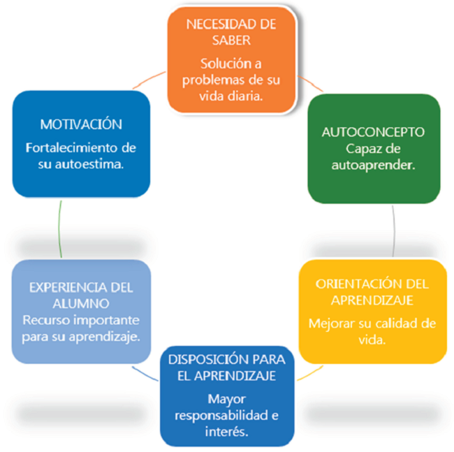 Premisas de la teoría andragógica (Knowles, 1970). O. Morales-Pacavita, 2015, p. 34. Basada en Knowles, 2001.