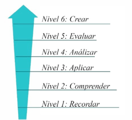 Esquema sobre la taxonom�a y niveles de desarrollo.