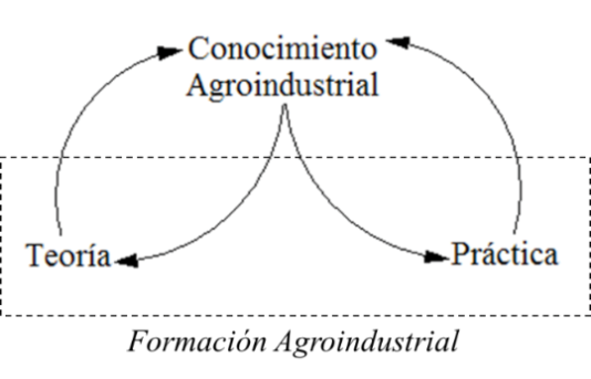 Relaci�n teor�a-pr�ctica en el aprendizaje agroindustrial