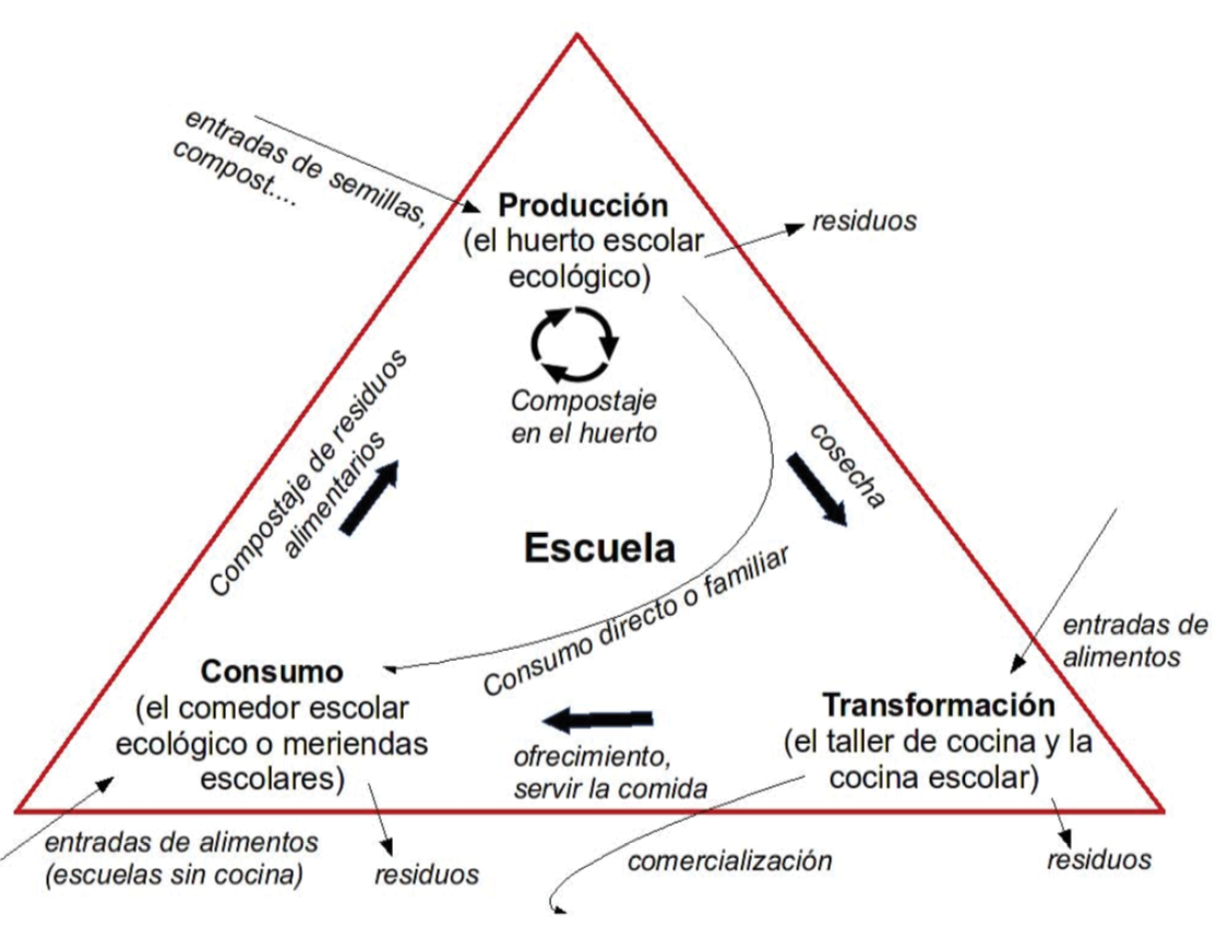 �mbitos de la Agroecolog�a Escolar