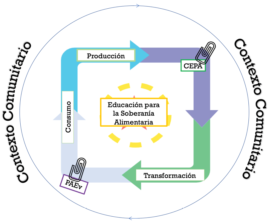 Relaci�n de los �mbitos de la agroecolog�a escolar con los programas de la fundaci�n