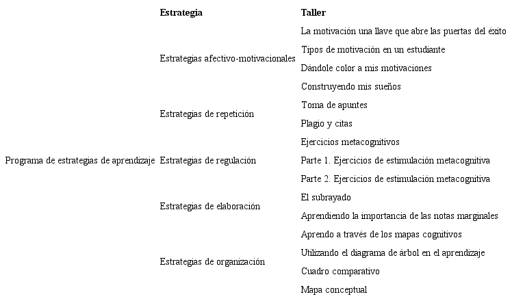 Programa de estrategias de aprendizaje.