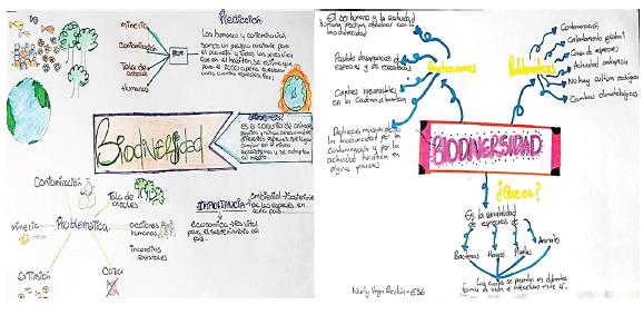 Representaciones del saber básico de los estudiantes sobre biodiversidad