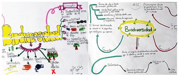 Representaciones del saber complejo de los estudiantes sobre biodiversidad