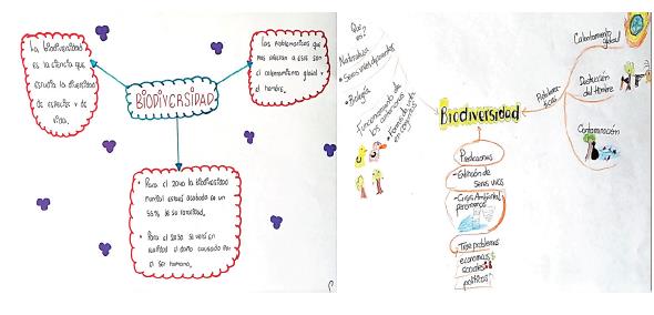 Representaciones del saber difuso de los estudiantes de 9° sobre biodiversidad