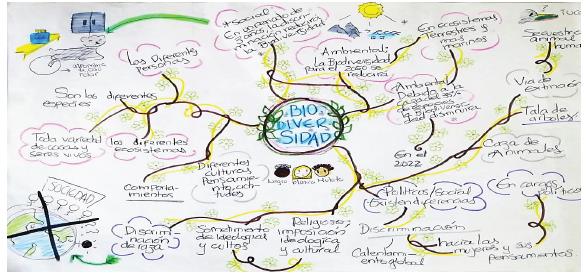 Representaciones del saber contextual y cultural de los estudiantes sobre biodiversidad
