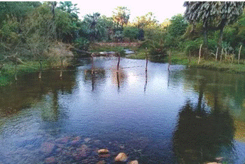 O leito do rio Verde transpassado por arame farpado1.