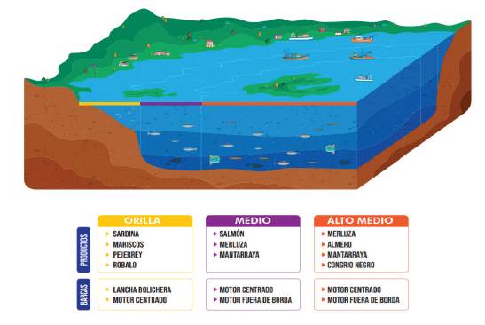 Infograf&iacute;a de los niveles de localizaci&oacute;n evidenciados por los pescadores