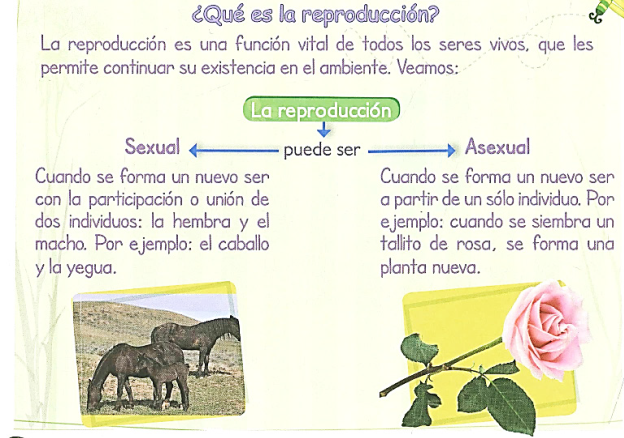 Ejemplo de secuenciaci&oacute;n simple
