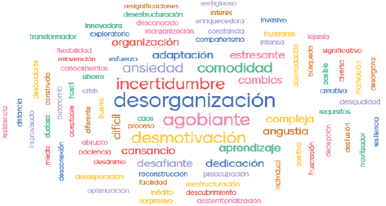 Palabras que caracterizaron la experiencia de aprendizaje en contexto de pandemia