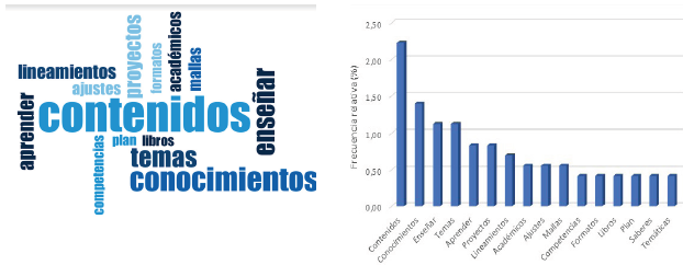 Perspectiva curricular expresada en una nube de palabras (izquerda) y mediante la frecuencia relativa de recurrencia (derecha)