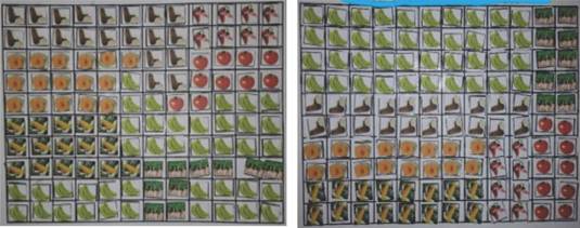 Dos dise&ntilde;os distintos para la siembra de cultivos en la huerta escolar