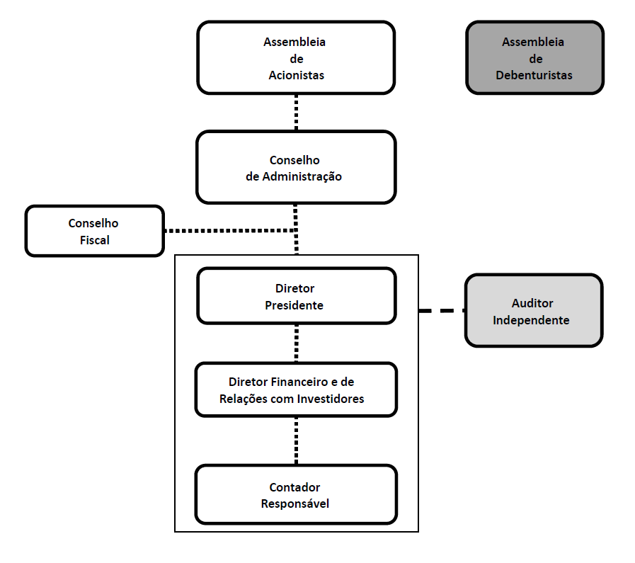 Figura 2. Organograma resumido da companhia