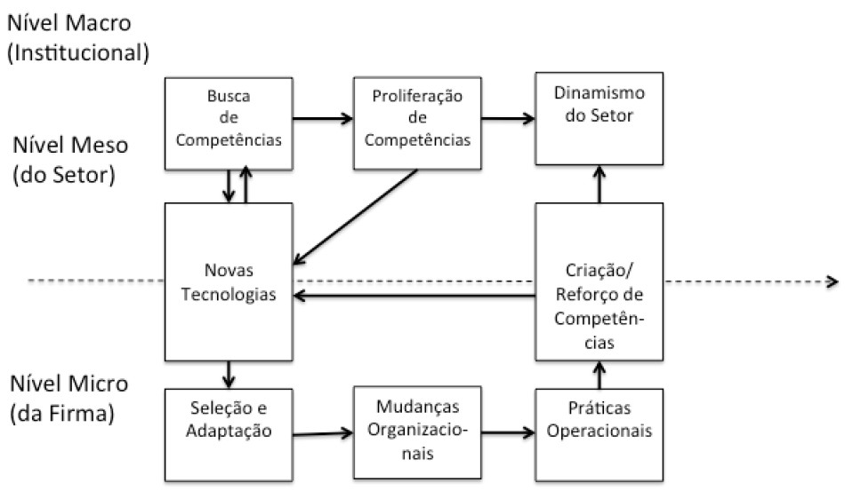 Framework integrando Estratégia
de Operações 

 e abordagem coevolutiva