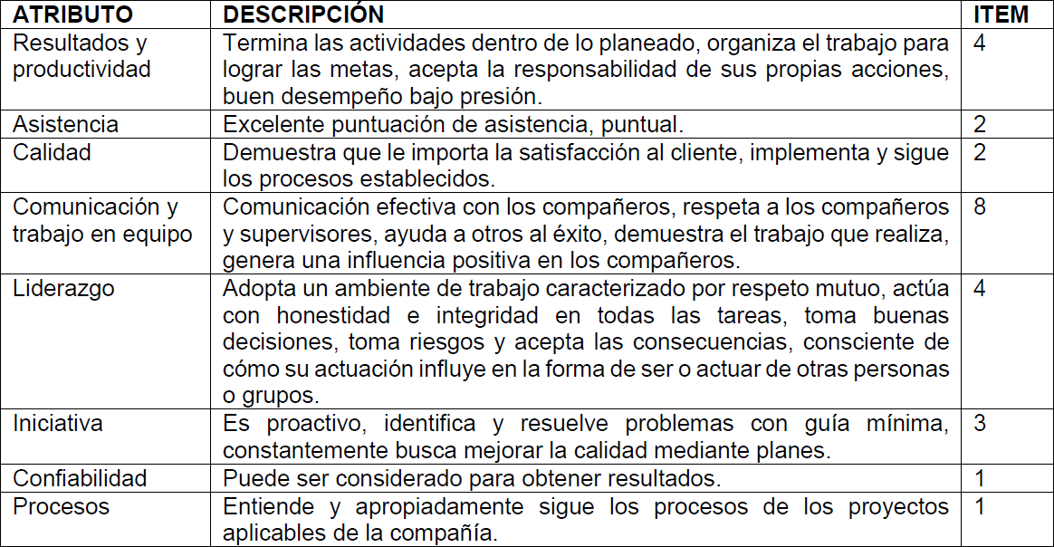 Instrumento de evaluación utilizado por la empresa bajo estudio.