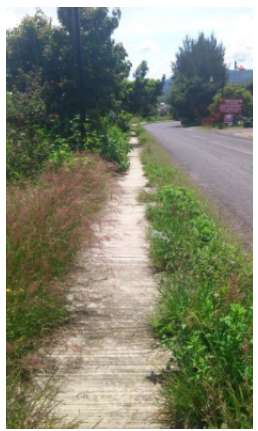 Espacio peatonal a pie de carretera.