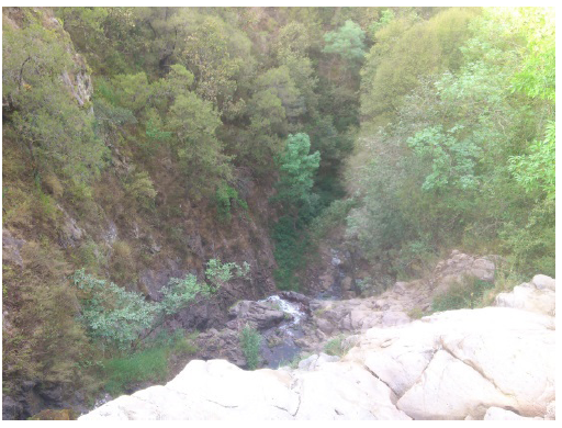 Andadores y plataformas.