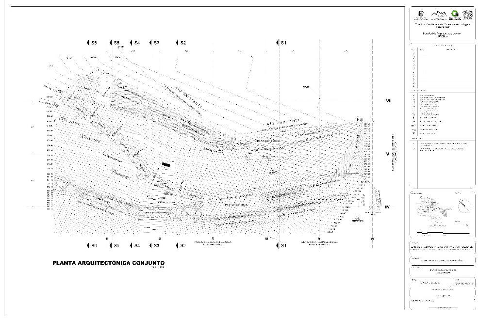 Andadores y plataformas.