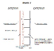 Detalle
    constructivo de los 3 sistemas de muros.