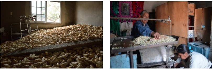 Espacio
  para guardar productos agr&iacute;colas en vivienda pur&eacute;pecha.