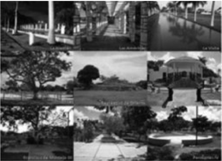  Los parques del estudio. Vistas representativas
de los nueve parques que se incluyeron en el estudio. Fotografías de Nicte-Há Gutiérrez Ruiz.