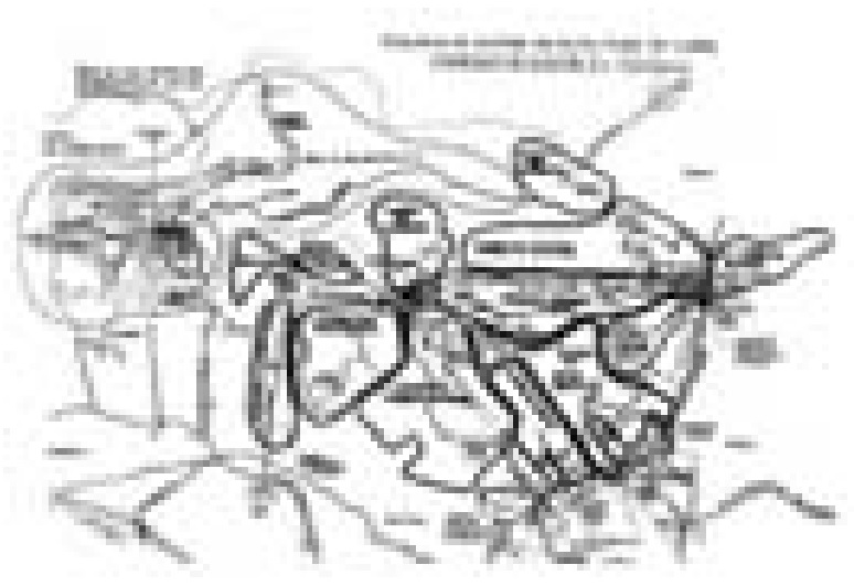 Jorge Mario J&aacute;uregui. Interpretaci&oacute;n, significaci&oacute;n y mapeo.