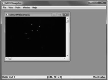 Archivo
resultante del escaneo de las im&aacute;genes en el algoritmo matem&aacute;tico.