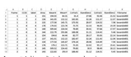 Archivo
resultante de un escaneo de una imagen. 

Fuente:
Elaboraci&oacute;n propia.