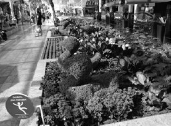 Plantas de plástico de Shopping
Estaçao Curitiba (Álvarez, 2012).