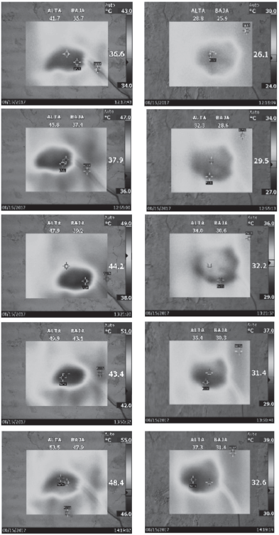 Fotos termogr&aacute;ficas obtenidas en la cara anterior y posterior del
panel de bahareque con fibras durante la prueba de 2:30 horas.