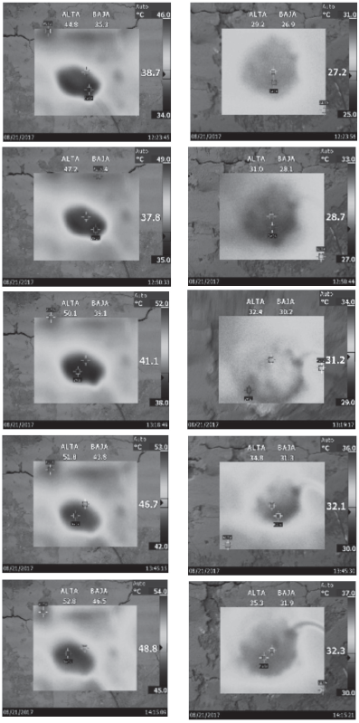 Fotos termogr&aacute;ficas obtenidas en la cara anterior y posterior del
panel de bahareque con poliestireno durante la prueba
de 2:30 horas.