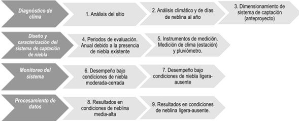 Figura 1. Metodología gráfica del experimento.