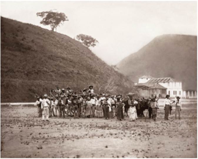 Ferrez, Marc. "Salida para la cosecha de caf� en carreta", 1885. Colecci�n Gilberto Ferrez, Acervo Instituto Moreira Salles.