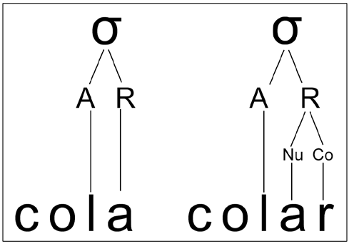 Representa&ccedil;&atilde;o de s&iacute;laba leve e s&iacute;laba com rima ramificada