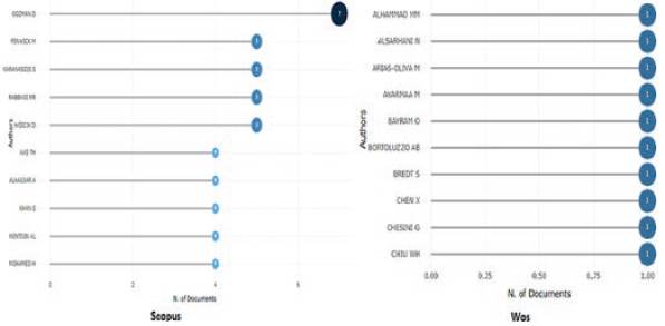 Relevant authors in Scopus and WoS.